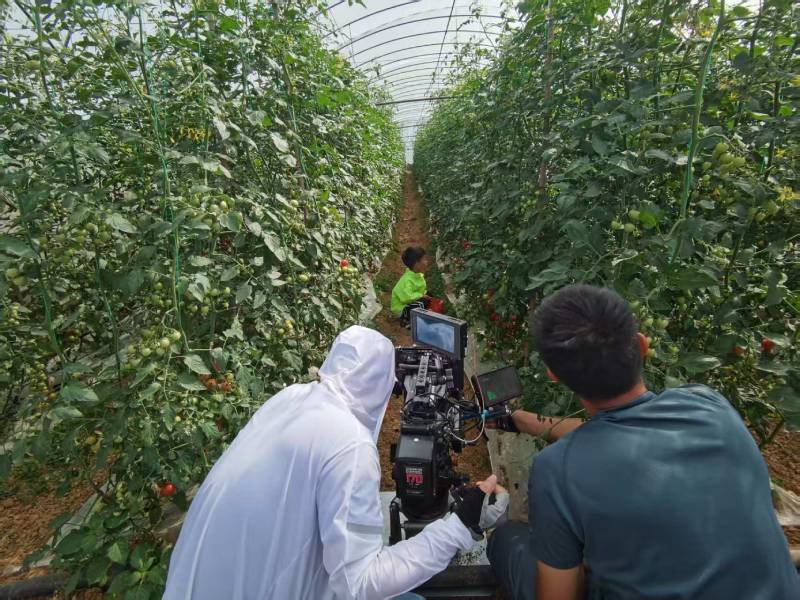 安县产品宣传视频拍摄公司进阶指南，助力品牌抢占传播高地